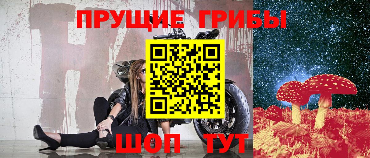 Шадринск  Галлюциногенные грибы Magic Shrooms  Вход с VPN  как найти   Галлюциногенные грибы прущие грибы 
